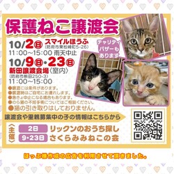 保護ねこ譲渡会inスマイルほうふ