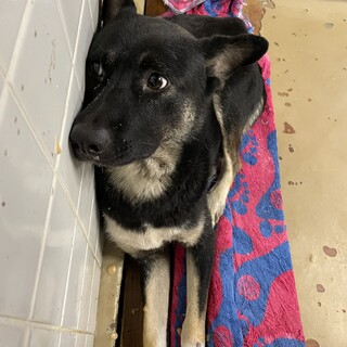 期限が29まで。時間がないです！