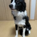 里親募集