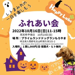 レトリーバーレスキューハッピーラブズふれあい会inドッグランもろやま(埼玉県) サムネイル1