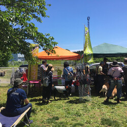 レトリーバーレスキューハッピーラブズふれあい会inドッグランもろやま(埼玉県) サムネイル3