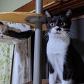 ひとなつこさ抜群！