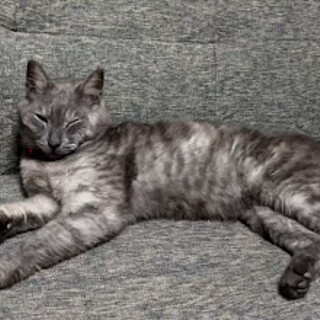 マイペースで人が大好きな男の子です♪