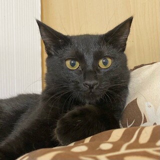 ビビり「せとか」ちゃん❤