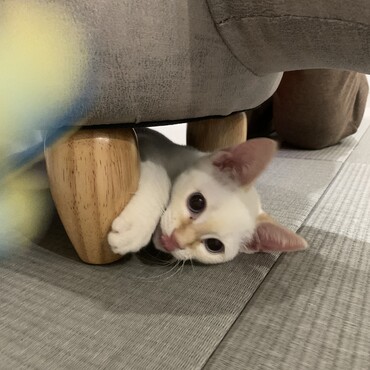 どんどんお転婆娘になってく