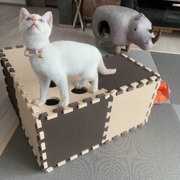全力で遊ぶ