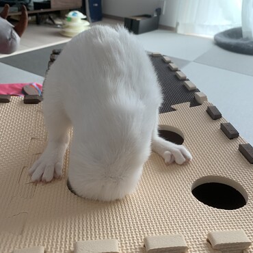 全力で遊びまくる