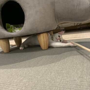 自分の可愛さをわかってる