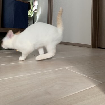 走る走る走る