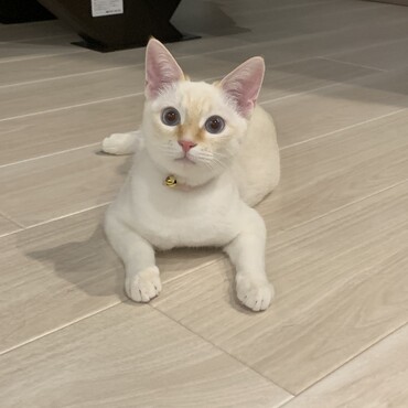 じぃ〜