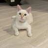 じぃ〜