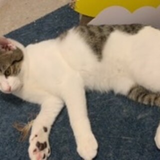 抱っこ大好きで元気いっぱいの男の子