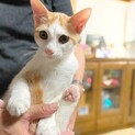 はくひくん　～大きくなりました〜