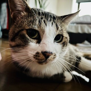 最近見かけないので募集停止　エイズキャリアユタ君