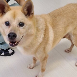 人が大好きな　ケントくん