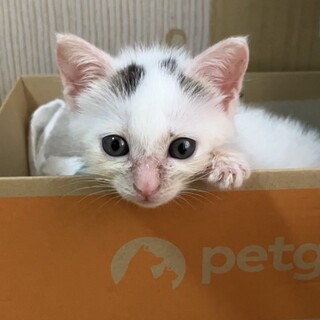 ♡ちっちゃな尻尾がチャームポイント♡