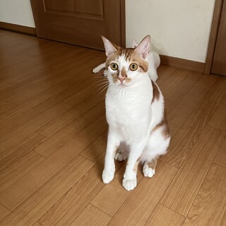 遊ぶの大好き♡きょうくん