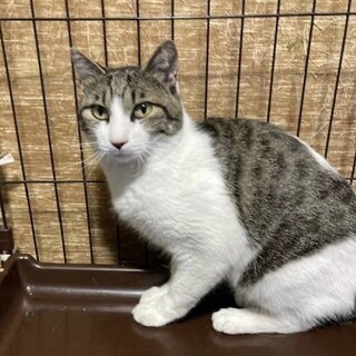 ベタベタ甘えたい男の子ハリー君