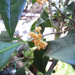 「ベルクさん、食欲の秋で11.11kgに増量！」サムネイル2