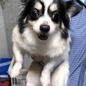 ゾン