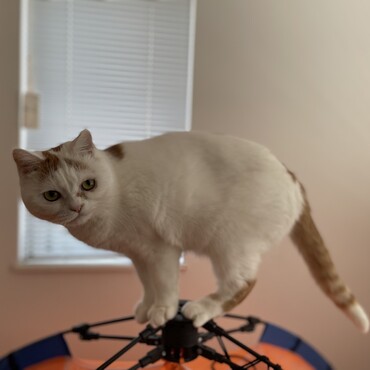 の写真