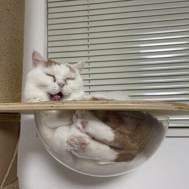 の写真