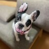 ユリコ