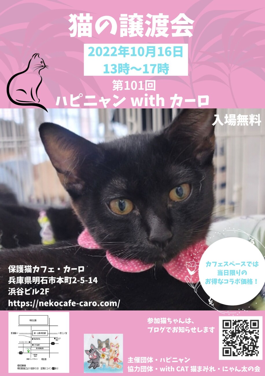 明石 譲渡会 ハピニャ With Cat 猫まみれのイベント ペットのおうち 月間利用者150万人