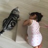  さん