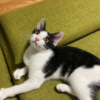 ず〜っとスリスリしていたい♡ミオくん