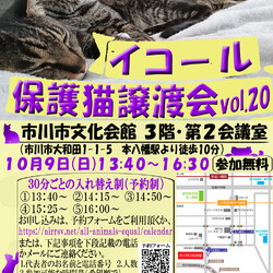 【千葉県市川市】40頭以上参加:イコール保護猫譲渡会vol.20