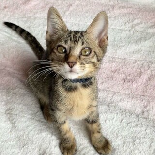 「面談予定」お茶目な「ヤムチャ」ちゃん❤