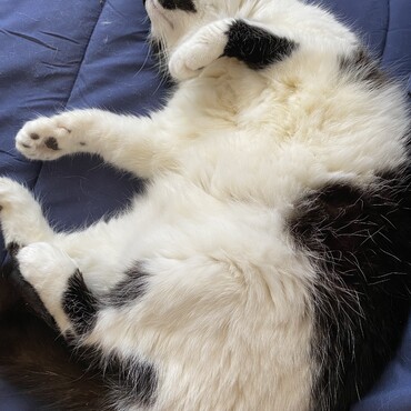 の写真
