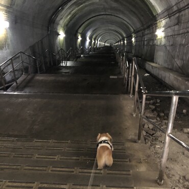 群馬県土合駅を下るレオ…その後地獄が