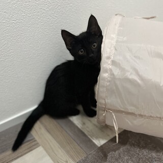 わんぱくデレ男⭐︎博士くん　3ヶ月