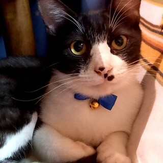 おっとりユウトくん