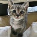 家族が決まりました☺︎