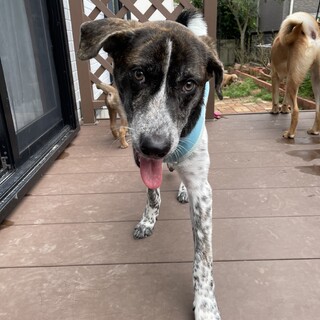 少しビビりなジェイさん