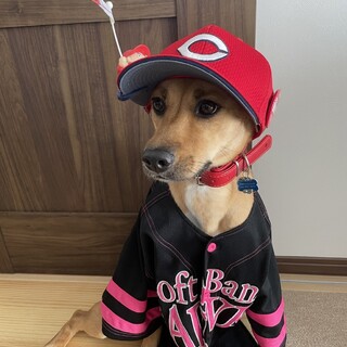 超絶ビビりなイオちゃん！