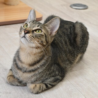 もずく：マイペースで元気な男の子。