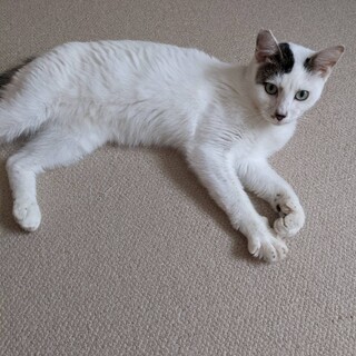 超フレンドリーな大吉くん