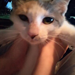 急募！ハートマークが可愛い甘えんぼう