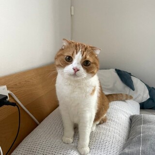 おっとりのんびり屋さんのトトくん