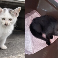 まだありません