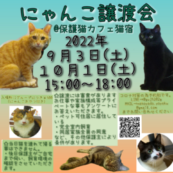 にゃんこ譲渡会