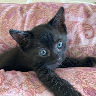 人が大好きなソラくん♡