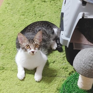 元気いっぱい可愛い兄妹❤️デール
