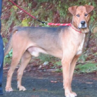 ゆったりと心も体も大きい♡ダディくん