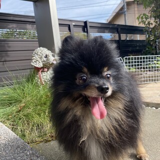 誉の家族を探しています