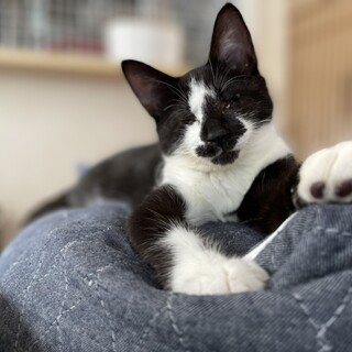 本当に見えてない！？盲目の　アイズ♀